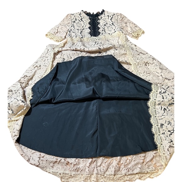 Tan & Black Lace Lined Midi Dress - Size 4 - Picture 4 of 11